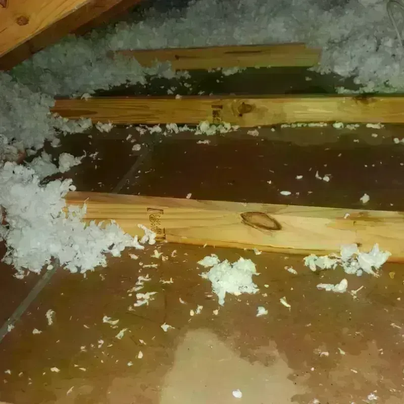 Attic Water Damage in Minnehaha County, SD