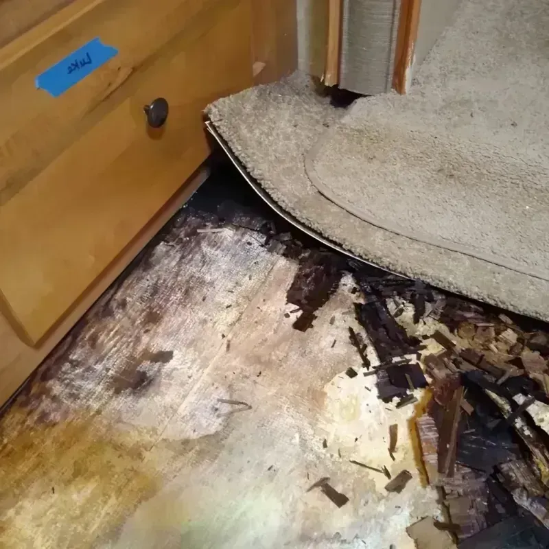 Wood Floor Water Damage in Minnehaha County, SD